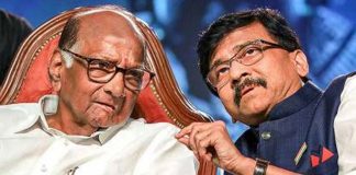 “गद्दाराच्या छताखाली जाऊन बैठका घेतल्याने विश्वासार्हता कमी होते”; संजय राऊतांचे शरद पवारांवर थेट शरसंधान
