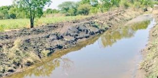 तावरजा प्रकल्पातून सिंचनासाठी पाणी सोडले