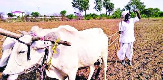 मान्सून गायब!