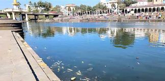 देहूतील इंद्रायणी नदीत हजारो मासे मृत