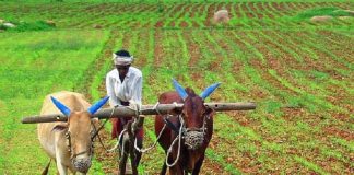 रखडलेल्या खरीप पेरण्यांना मिळणार वेग