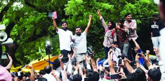 झुरळ जिंकलं… सरकार झुकलं!
