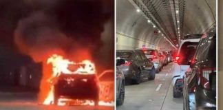 कोस्टल रोडच्या बोगद्यात कारने घेतला पेट; प्रचंड वाहतूक कोंडी झाल्याने रस्ता बंद