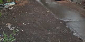 संततधार पावसामुळे नातेपुते परिसर सुखावला; दोन दिवसांपासून सूर्यदर्शन नाही, मात्र दमदार पावसाअभावी पेरण्या अद्याप रखडल्याच