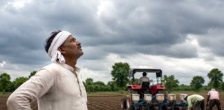 पावसाअभावी पिके संकटात; शेतकरी हवालदिल