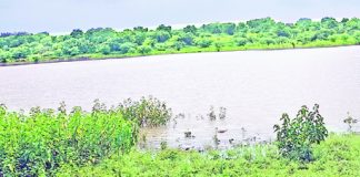 जळकोट तालुक्यातील जलस्रोत पावसामुळे तुडुंब