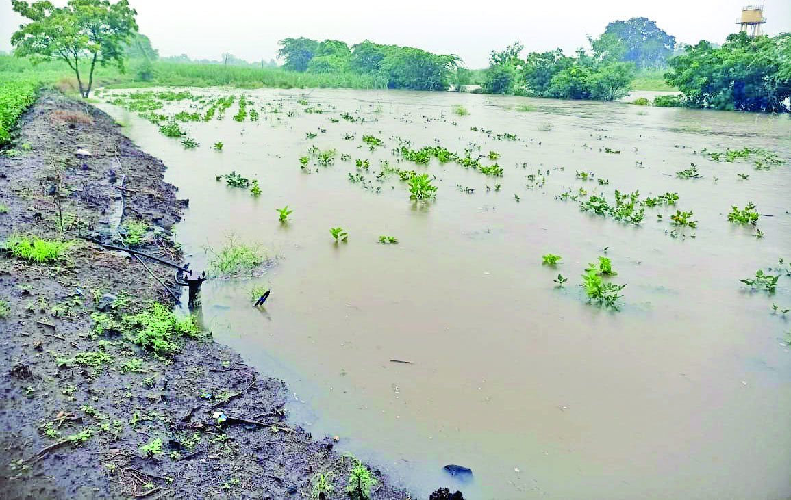 गतवर्षीच्या नुकसानीचेच पदरात पडले नाही; यंदाचे काय?