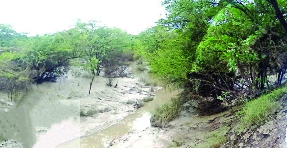 पीक विम्याचीही प्रतीक्षा, विहिरीतील गाळ काढणीच्या अनुदानातही कपात