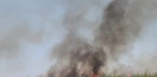 एकुरगा शिवारातील १० एकर ऊस खाक
